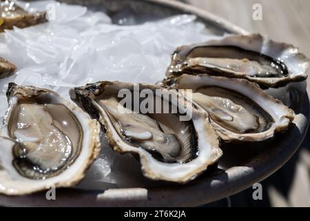 Manger des huîtres vivantes fraîches au café de la ferme dans le village ostréicole, bassin d'Arcachon, presqu'île du Cap Ferret, Bordeaux, France, gros plan Banque D'Images