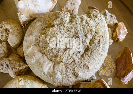 Visite des vins dans les caves en appellation Pouilly-fume, exemples de terroirs de vignes en appellation Pouilly-fume, cailloux silex, argile, caillottes limeston Banque D'Images