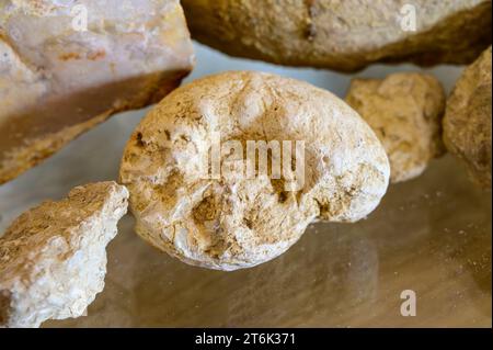 Visite des vins dans les caves en appellation Pouilly-fume, exemples de terroirs de vignes en appellation Pouilly-fume, cailloux silex, argile, caillottes limeston Banque D'Images