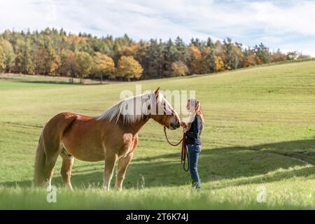 Une jeune femme et son cheval de trait noriker sang froid sur une prairie en automne en plein air Banque D'Images