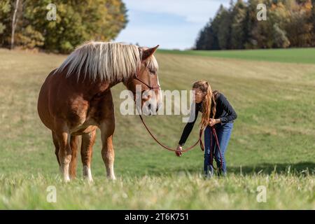 Une jeune femme et son cheval de trait noriker sang froid sur une prairie en automne en plein air Banque D'Images