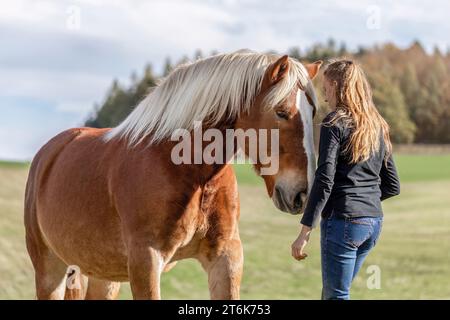 Une jeune femme et son cheval de trait noriker sang froid sur une prairie en automne en plein air Banque D'Images