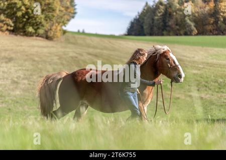 Une jeune femme et son cheval de trait noriker sang froid sur une prairie en automne en plein air Banque D'Images