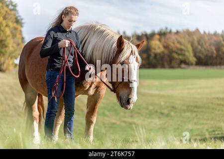 Une jeune femme et son cheval de trait noriker sang froid sur une prairie en automne en plein air Banque D'Images