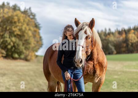 Une jeune femme et son cheval de trait noriker sang froid sur une prairie en automne en plein air Banque D'Images