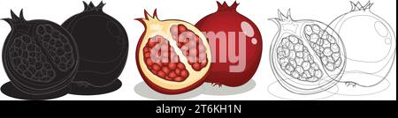 Vecteur d'illustration de conception de fruits de grenade Illustration de Vecteur