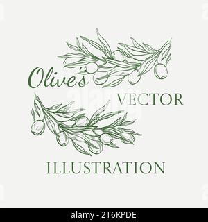 illustration vectorielle représentant une branche d'olivier. La précision de l'artiste est évidente dans chaque détail, des olives aux feuilles, mettant en valeur le découvrabi Illustration de Vecteur