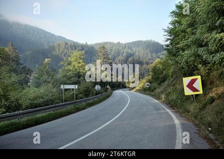 Route sinueuse dans la forêt brumeuse de Bosnie-Herzégovine Banque D'Images