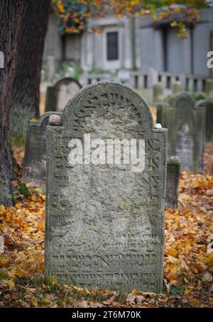 09 novembre 2023, Brandebourg, Potsdam : une pierre tombale dans le cimetière juif de Potsdam, à côté de l'arbre se trouve la pierre d'un des ancêtres du violoniste irlando-allemand Daniel Hope. Photo : Soeren Stache/dpa Banque D'Images