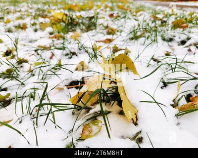 Feuilles tombées couvertes de première neige. Changement de saisons Banque D'Images