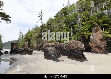 Parc provincial Cape Scott - empilements marins à la baie San Josef (île de Vancouver) Canada Banque D'Images