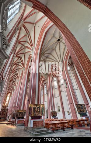 Voûte côtelée gothique, nef à St Mary sur l'église de sable sur l'île de Piasek dans la vieille ville de Wrocław, Basse-Silésie, Pologne Banque D'Images