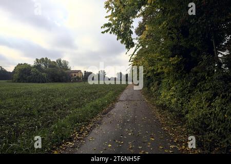 Chemin de terre avec des flaques à côté d'un champ et bordé par des arbres sur une journée nuageuse dans la campagne italienne Banque D'Images