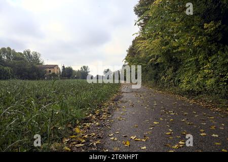 Chemin de terre avec des flaques à côté d'un champ et bordé par des arbres sur une journée nuageuse dans la campagne italienne Banque D'Images