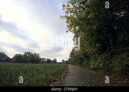 Chemin de terre avec des flaques à côté d'un champ et bordé par des arbres sur une journée nuageuse dans la campagne italienne Banque D'Images