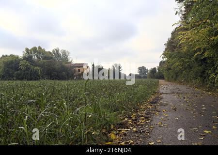 Chemin de terre avec des flaques à côté d'un champ et bordé par des arbres sur une journée nuageuse dans la campagne italienne Banque D'Images