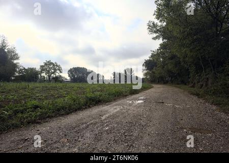 Chemin de terre avec des flaques à côté d'un champ et bordé par des arbres sur une journée nuageuse dans la campagne italienne Banque D'Images