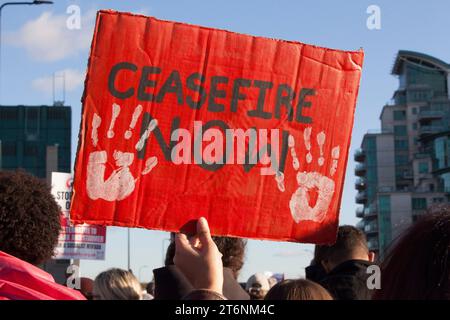 Londres, Royaume-Uni, 11 novembre 2023 : plus de 800 000 manifestants ont défilé à Londres pour réclamer un cessez-le-feu à Gaza. Depuis que le Hamas a attaqué Israël le 7 octobre, le bombardement israélien de Gaza a fait des milliers de morts. La protestation d'aujourd'hui a été rendue publique par les tentatives de Suella Braverman de faire pression sur la police pour l'interdire. Anna Watson/Alamy Live News Banque D'Images