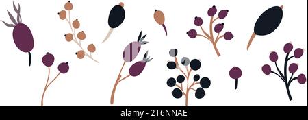 Baies d'automne dans des couleurs d'automne confortables. Jeu d'illustrations isolées à plat. décor vectoriel dessiné à la main pour scrapbooking, couvertures textiles ou de livres, papiers peints Illustration de Vecteur