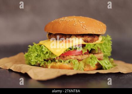 Double cheeseburger sur fond gris. Hamburger savoureux juteux sur papier artisanal, vue de côté. Restauration rapide Banque D'Images