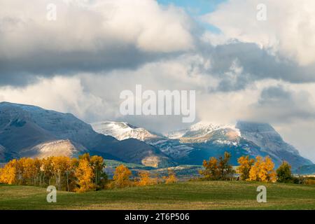 Couleur du feuillage d'automne dans les contreforts du parc national des Lacs-Waterton, près de Mountain View, Alberta, Canada. Banque D'Images