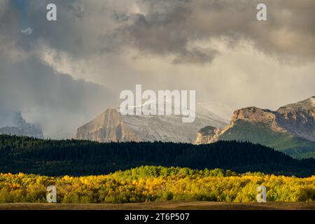 Couleur du feuillage d'automne dans les contreforts du parc national des Lacs-Waterton, près de Mountain View, Alberta, Canada. Banque D'Images