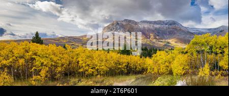 Couleur du feuillage d'automne dans les contreforts du parc national des Lacs-Waterton, près de Mountain View, Alberta, Canada. Banque D'Images