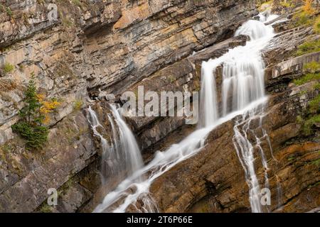 Chutes Cameron avec la couleur du feuillage d'automne dans le parc national des Lacs-Waterton, Alberta, Canada. Banque D'Images