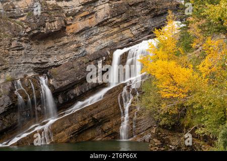 Chutes Cameron avec la couleur du feuillage d'automne dans le parc national des Lacs-Waterton, Alberta, Canada. Banque D'Images