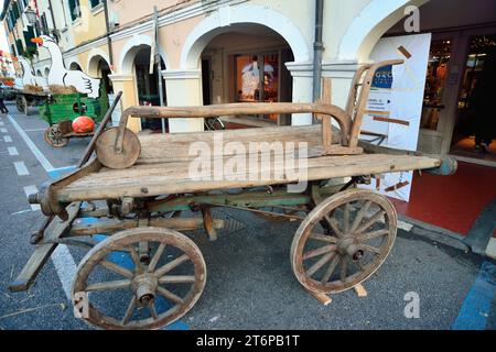 Foire de l'oie à Mirano, une ville de la province de Venise, Italie. La foire coïncide avec St. Martin's Day. La foire remonte au siècle dernier et les villageois s'habillent en vêtements de cette époque. Chariot en bois avec charrue en bois tirée par des animaux anciens. Banque D'Images