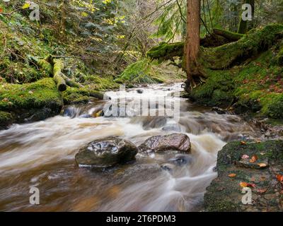 Moniack Burn, Reelig Glen, Highland, Écosse Banque D'Images