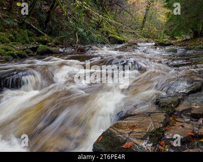 Moniack Burn, Reelig Glen, Highland, Écosse Banque D'Images