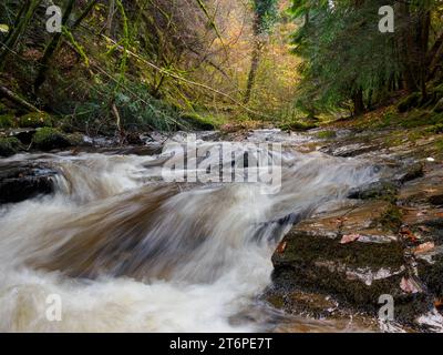 Moniack Burn, Reelig Glen, Highland, Écosse Banque D'Images