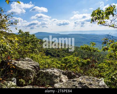 Cette photographie captivante présente une vue panoramique sur les montagnes densément boisées le long du sentier North Mountain et Laurel Run, strad Banque D'Images