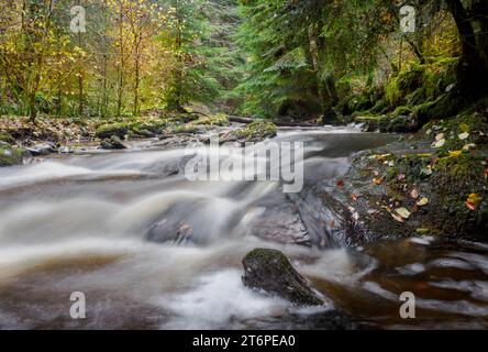 Moniack Burn, Reelig Glen, Highland, Écosse Banque D'Images