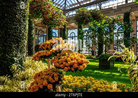 Kennett Square, PA – US – 15 oct. 2023 vue horizontale de l’Orangerie du Conservatoire de Longwood Gardens, un jardin botanique dans le Brandywine C. Banque D'Images