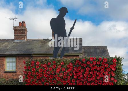 Northwich, Cheshire, Royaume-Uni - 10 novembre 2023 - gros plan d'une haie couverte de coquelicots et la silhouette d'un solder Banque D'Images