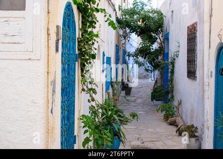 Rues étroites et romantiques entre les maisons dans la vieille ville de Medina Hammamet, Tunisie Banque D'Images