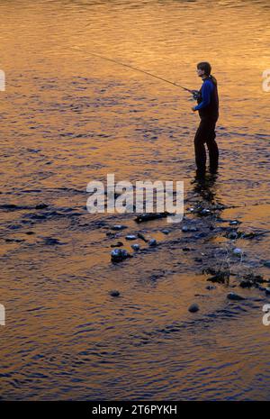 La pêche à la mouche dans la rivière Yakima, Yakima River Canyon Scenic et Loisirs de l'Autoroute, Washington Banque D'Images