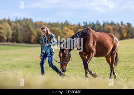 Une femme équestre pendant les travaux de base dans l'équitation naturelle avec son cheval de trotter brun baie en automne sur une prairie en plein air Banque D'Images