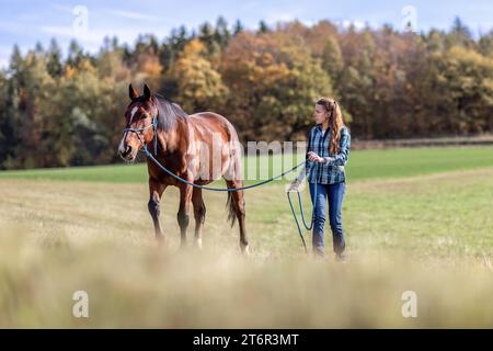 Une femme équestre pendant les travaux de base dans l'équitation naturelle avec son cheval de trotter brun baie en automne sur une prairie en plein air Banque D'Images