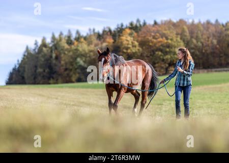 Une femme équestre pendant les travaux de base dans l'équitation naturelle avec son cheval de trotter brun baie en automne sur une prairie en plein air Banque D'Images