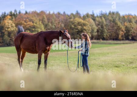 Une femme équestre pendant les travaux de base dans l'équitation naturelle avec son cheval de trotter brun baie en automne sur une prairie en plein air Banque D'Images