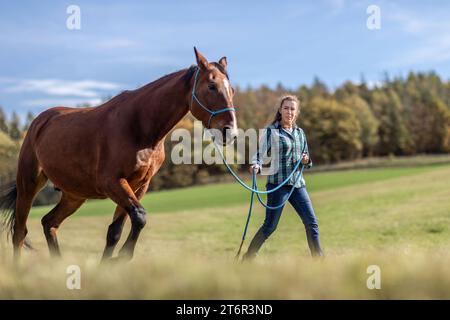 Une femme équestre pendant les travaux de base dans l'équitation naturelle avec son cheval de trotter brun baie en automne sur une prairie en plein air Banque D'Images