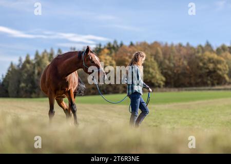 Une femme équestre pendant les travaux de base dans l'équitation naturelle avec son cheval de trotter brun baie en automne sur une prairie en plein air Banque D'Images