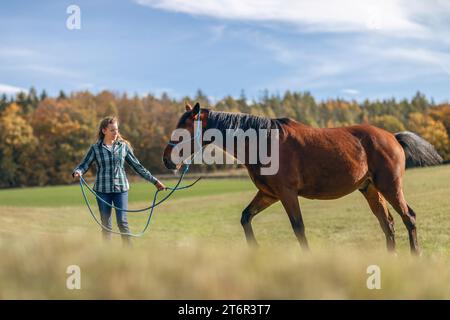 Une femme équestre pendant les travaux de base dans l'équitation naturelle avec son cheval de trotter brun baie en automne sur une prairie en plein air Banque D'Images