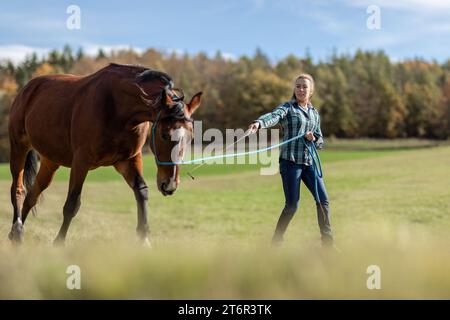 Une femme équestre pendant les travaux de base dans l'équitation naturelle avec son cheval de trotter brun baie en automne sur une prairie en plein air Banque D'Images