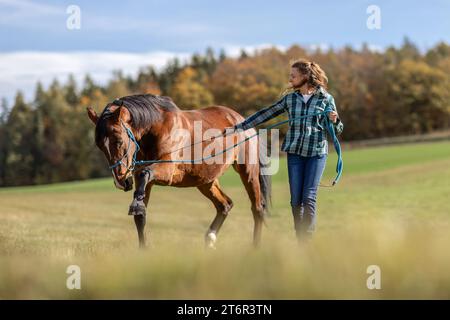 Une femme équestre pendant les travaux de base dans l'équitation naturelle avec son cheval de trotter brun baie en automne sur une prairie en plein air Banque D'Images