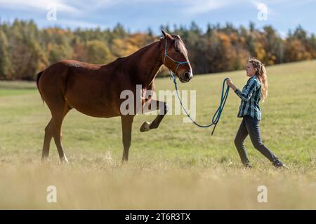 Une femme équestre pendant les travaux de base dans l'équitation naturelle avec son cheval de trotter brun baie en automne sur une prairie en plein air Banque D'Images