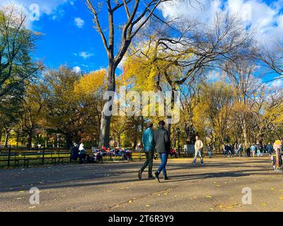 New York, États-Unis. 11 novembre 2023. Des feuilles colorées sont vues pendant le feuillage d'automne à Central Park à New York. Crédit : Ryan Rahman/Alamy Live News Banque D'Images